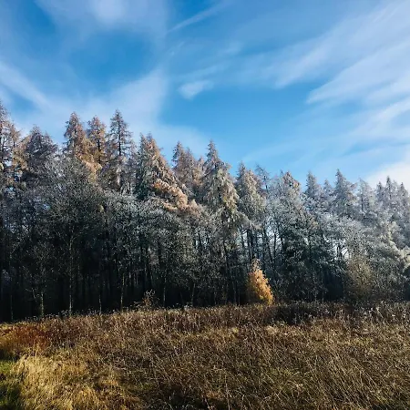 Pensionat Gaestehaus Hohetanne1