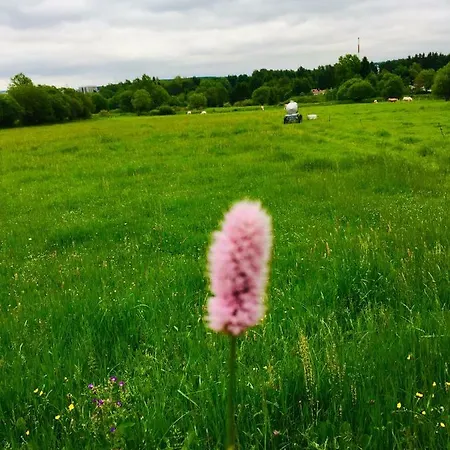 Pensionat Gaestehaus Hohetanne1 Grossbreitenbach