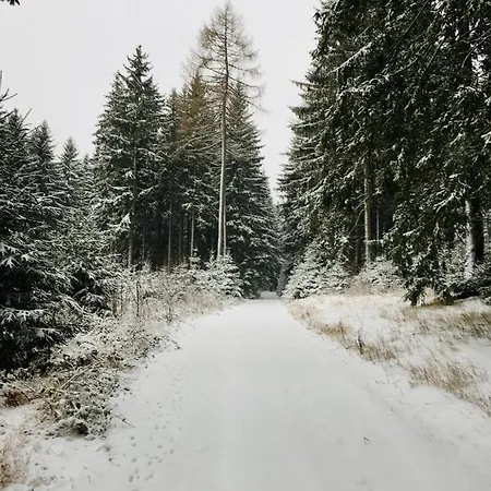 Gaestehaus Hohetanne1 Grossbreitenbach